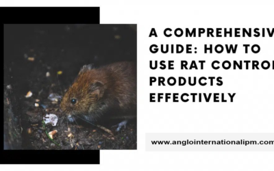 A Comprehensive Guide: How to Use Rat Control Products Effectively