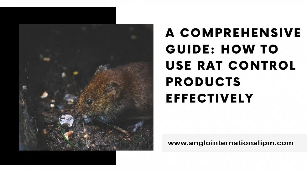 A Comprehensive Guide: How to Use Rat Control Products Effectively